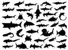 Various Sharks Silhouettes Vector Illustration