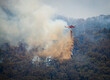 A firefighting helicopter puts out fire from the smoking forest below.