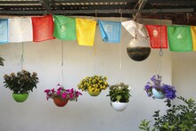 Colourful Hanging Flower Baskets And Prayer Flags Outside House