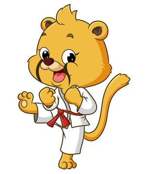 The pretty lion is doing the karate and showing the skill