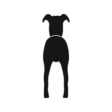 Greyhound Pet Dog Species Silhouette