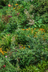 Canvas Print - organic garden with vegetables and flowers