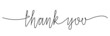 Thank You handwritten inscription. Hand drawn lettering vector illustration. One line drawing of phrase. Modern design with calligraphic inscription.