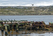 Port Stanley - Old harbour - Falkland Islands