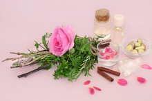 Witches Love Potion Preparation With Rose Flower And Herb Bundle, Quartz Crystal, Spring Water, Oil Bottles, Ginger And Cinnamon Spice On Pink Background. Magical Spell Romantic Dating Concept.
