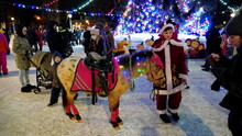 A Teenager In A Red Carnival Costume With A Pony Horse Stands Near A Christmas Tree In A City Park In Winter During The Christmas Holidays