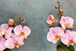 Pink spa orchid theme objects on pastel background.