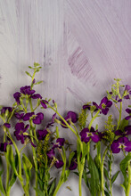 Purple Flowers On Purple Surface 