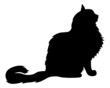 Silhouette of a black cat sitting