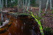 © EriksZ - A small forest stream with sandstone outcrops