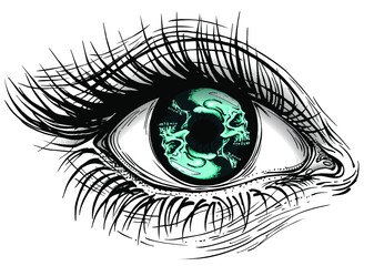 Isolated vector illustration of realistic human eye of a girl with skulls iris.