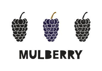 Wall Mural - Mulberry, silhouette icons set with lettering. Imitation of stamp, print with scuffs. Simple black shape and color vector illustration. Hand drawn isolated elements on white background