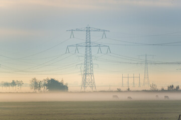 Sticker - Morning fog landscape