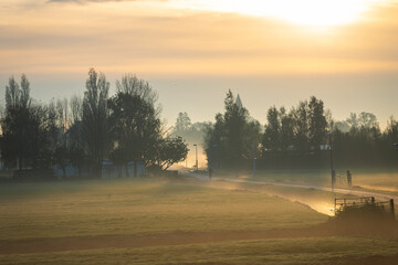 Wall Mural - Morning fog landscape