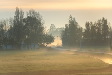 Wall Mural - Morning fog landscape