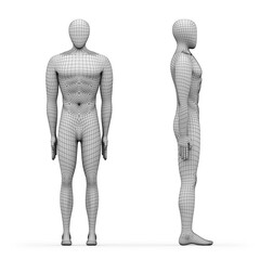 Poster - Three-dimensional models of human body isolated on white background. 3D illustration.