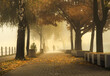 jesienny spacer mężczyzny po parku we mgle
