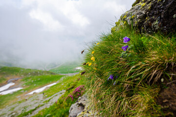 Sticker - Landscape in Retezat Mountains, Romania