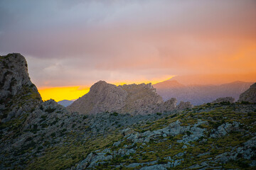 Canvas Print - Landscape in Mallorca island, Spain