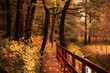 jesień w parku, most w parku jesienią