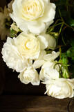 Fototapeta  - Bukiet róż w kolorze beżowym, kremowym