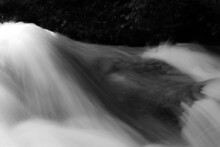 Water Running Over A Rock In Black And White