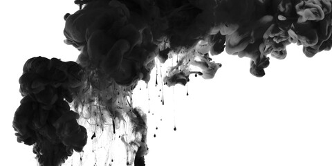 Wall Mural - acrylic colors flow in water. black and white abstract horizontal copy space contrast background.