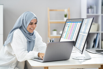 Poster - Analyst Working With Spreadsheet Business Data