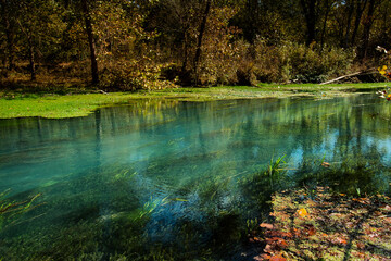 Two Different Ecosystems