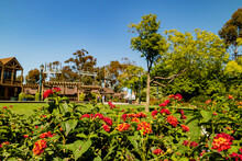 Sunny View Of The Balboa Park At San Diego