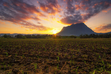 Wall Mural - Doi luang chiang dao mountain sunset, Chiang mai, thailand.