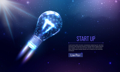 Wall Mural - bulb launch, wireframe polygonal style. internet technology network, business startup concept with g