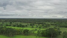 Aerial View Nature Paraguay. Farm Fields In Paraguay With Beautiful Trees And Forests, Fields For Grazing Cows.