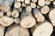 Bauholz / Lumber