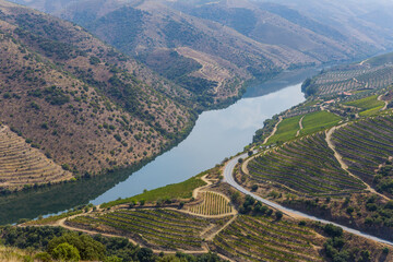 Wall Mural - Foz Coa. Douro