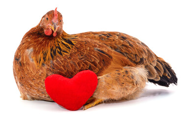 Poster - Chicken and heart.