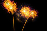 Fototapeta Dmuchawce - beautiful golden and red firework display set for celebration happy new year and merry christmas and  fireworks on black background