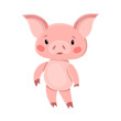 Vector cute pink pig cartoon little character