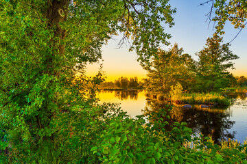 Wall Mural - Sunset over the river. Clear sky. Overgrown coastline. Smooth surface of water. View from the shore through the foliage. Russia, Europe.