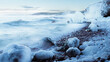 Winter wonderland by the ocean. 