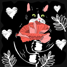 Hand Drawn Illustration With Black And White Cat.Print With Animal Character Holding A Red Poppy Flower In His Paws.Black Background With White Hearts And Twigs.Template For Greeting Cards,poster.