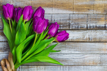 Purple tulip, liliaceae on rustic desk. Cut flower bouquet on wood background