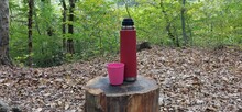A Red Thermos And A Pink Plastic Cup On A Tree Stump Against The Backdrop Of An Autumn Forest.