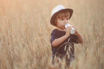 Hungry cute toddler: little boy 2-3 years old drinks milk from a glass bottle on a summer day in wheat field