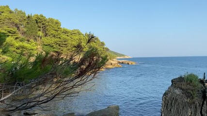 Canvas Print - Mediterranean sea view at summer day. Blue sea water. Pine trees on Mediterranean coast. Sunny blue sky. Coniferous forest on shore. Beautiful nature of Adriatic in Montenegro. Zen, relax, calmness.