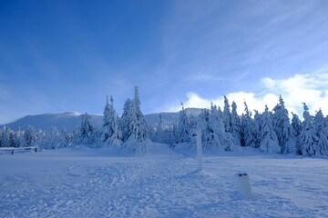 Poster - View from Brona Pass to Babia Gora Peak in winter sunny day. Diablak, Beskid Zywiecki, Poland