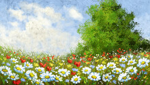 Oil Paintings Summer Landscape, Flowers In The Field. Fine Art, Artwork