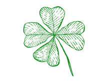Vintage Green Lucky Clover With Four Leaf In Hand Drawing Style For Patrick's Day.