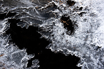 Wall Mural - Ice flower and frost pattern on the stream cold winter.