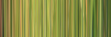 Abstract Pattern Green Stripes For Background Design.